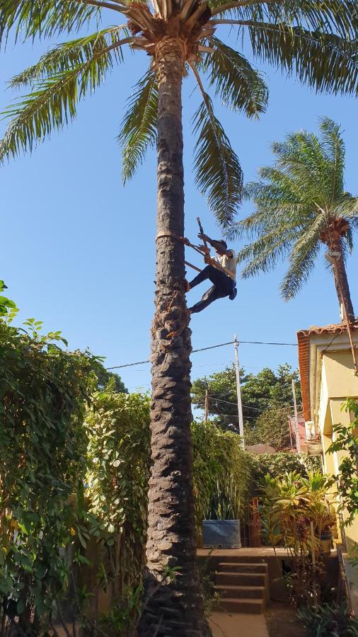 Casa Cacheu II Lejlighed Bissau Eksteriør billede